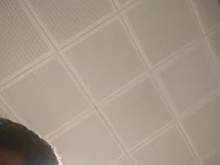 aasllsn webcam model