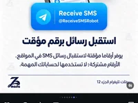 Mehdi-469 webcam model