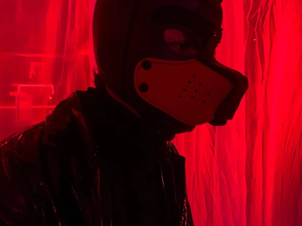 Letrip__'s Offline XXX Chat