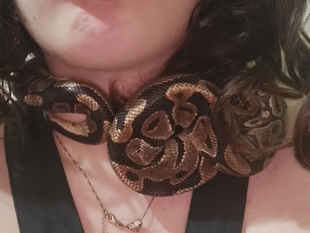 BruninDmogi Chat XXX Ngoại tuyến