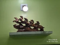 223yuijgd's webcam live show