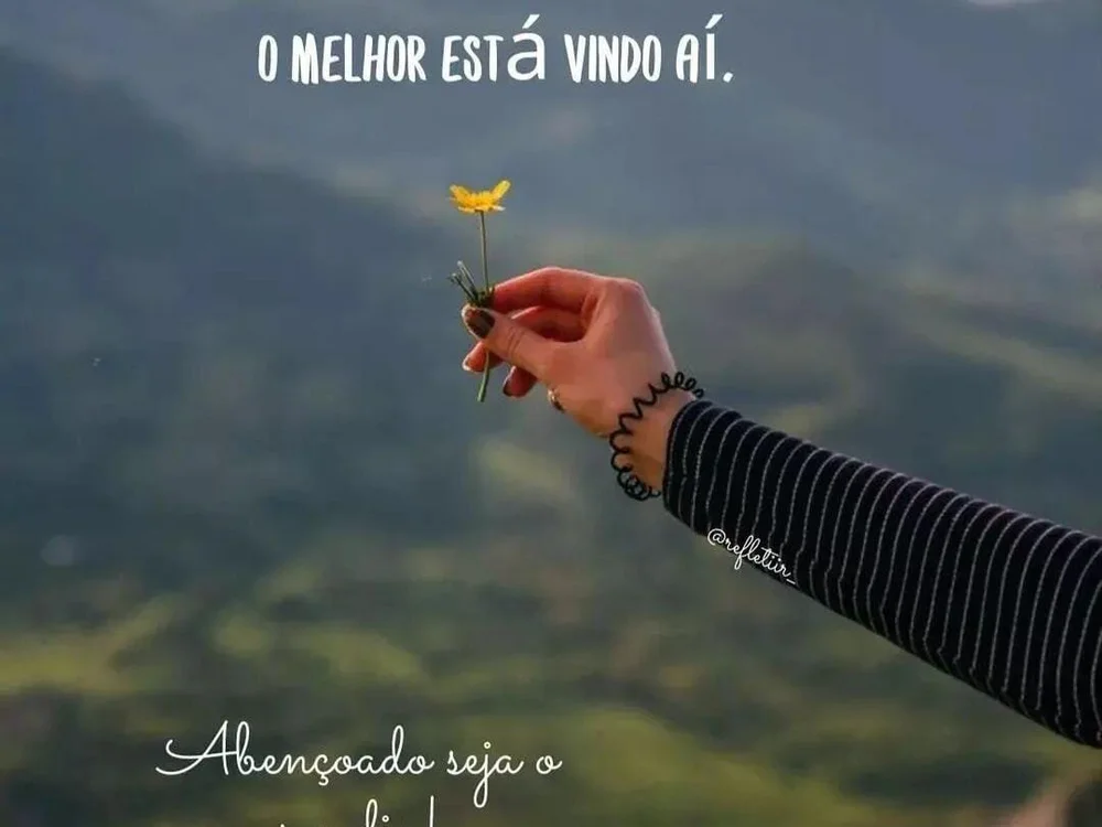 Moreninho240000