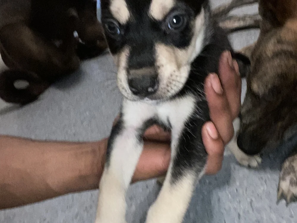 mrPopsicle007 offline XXX-chat