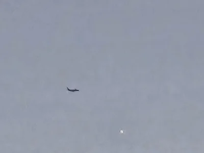 Kingqueen696 profile