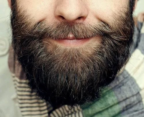 Chat XXX offline de ElViejoBarbon