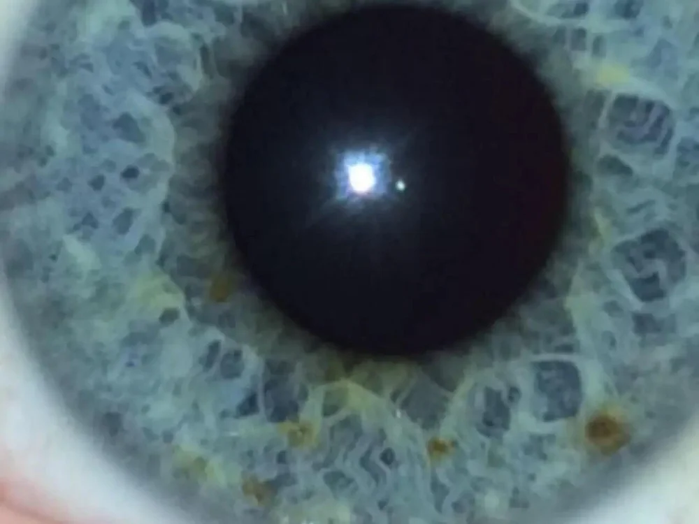 Chat XXX offline de danibang13