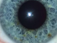 danibang13's webcam live show