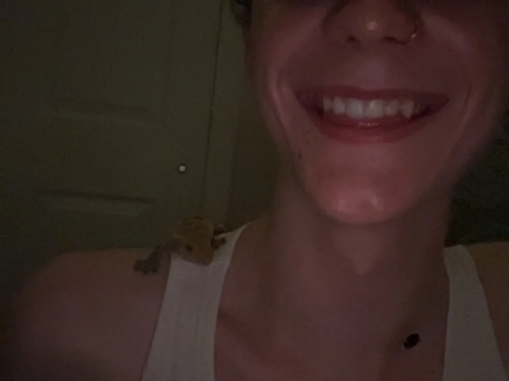 littletwinkyboy's Offline XXX Chat