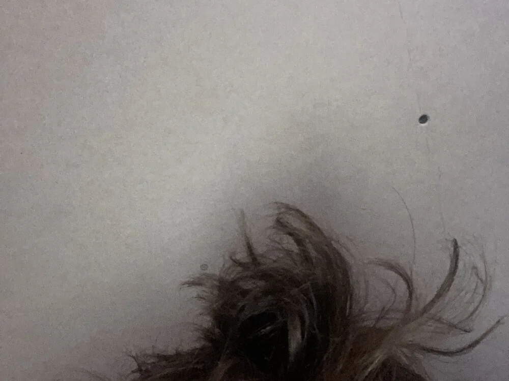 Jock131 Chat XXX Ngoại tuyến