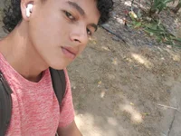 Модель Santy_Stump