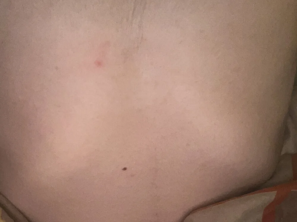 Nightwish77 – Offline XXX chat