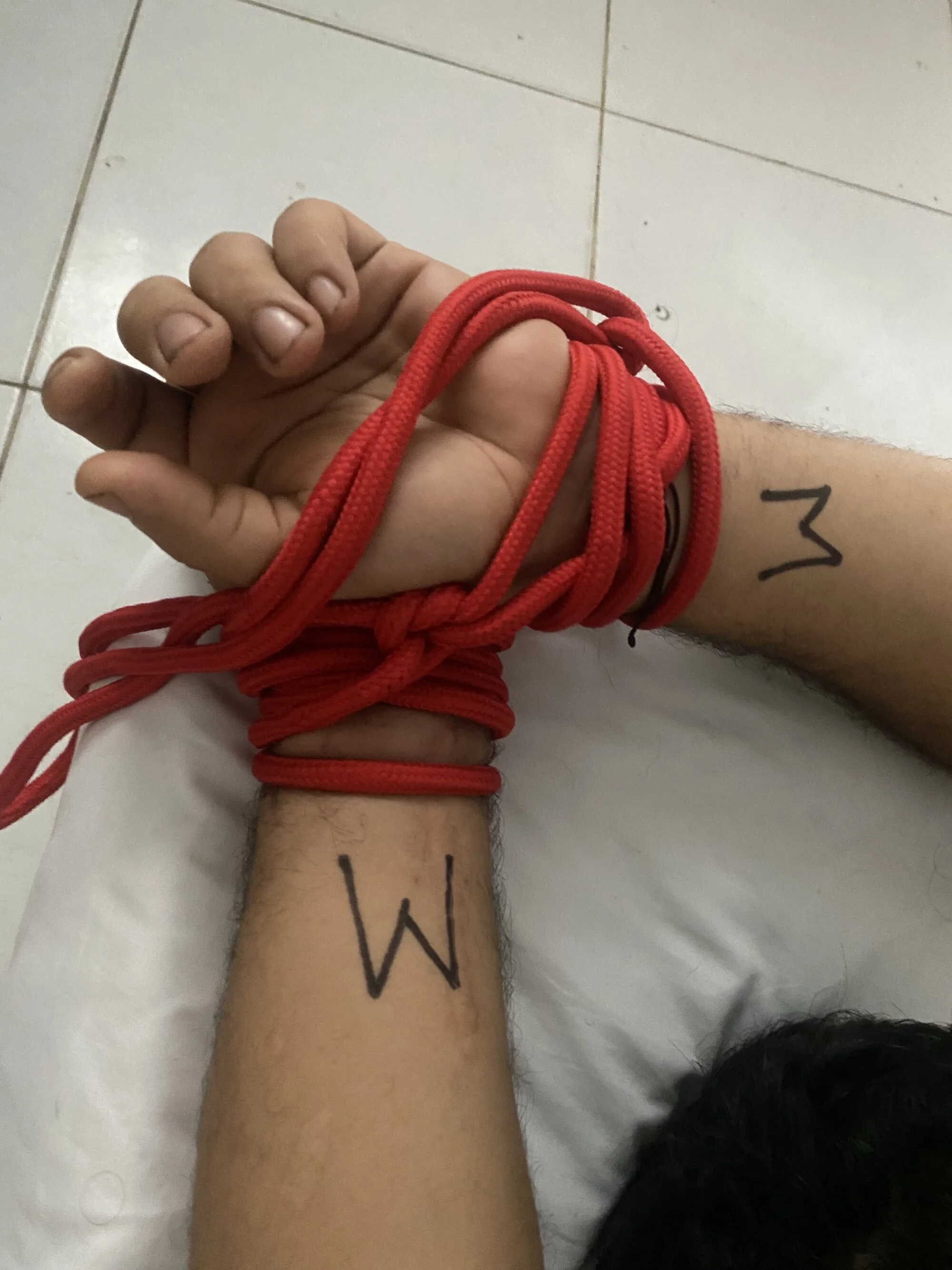 EliteFantasy-