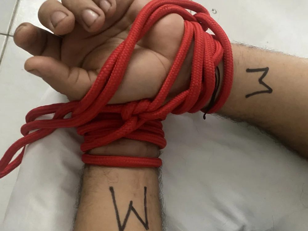 EliteFantasy- – Offline XXX chat