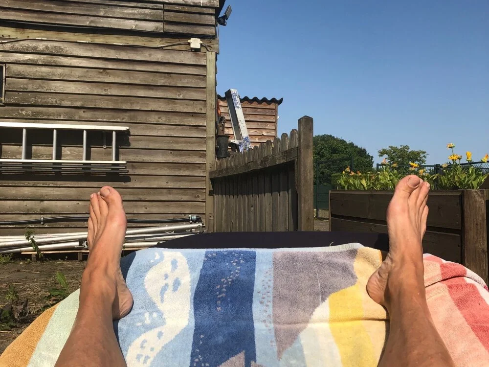 doggy38 Obrolan XXX Offline