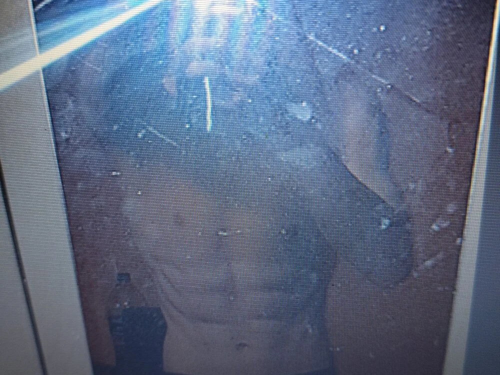 deiwidukas' Offline XXX Chat