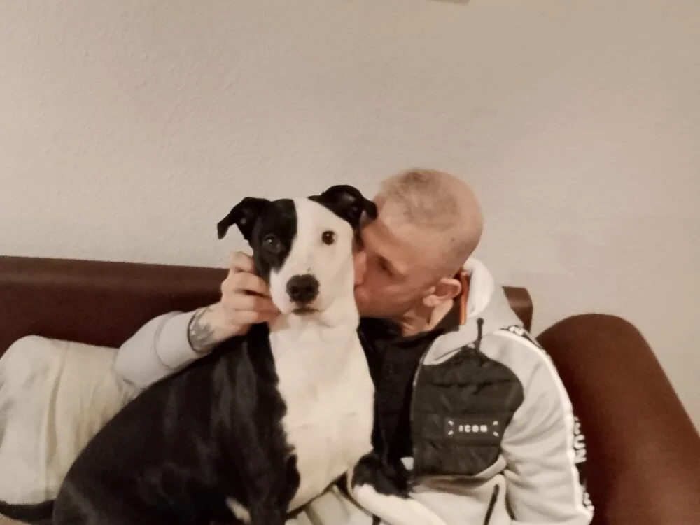 Mike222224 离线XXX聊天