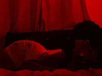 Stefanie_Viv webcam model