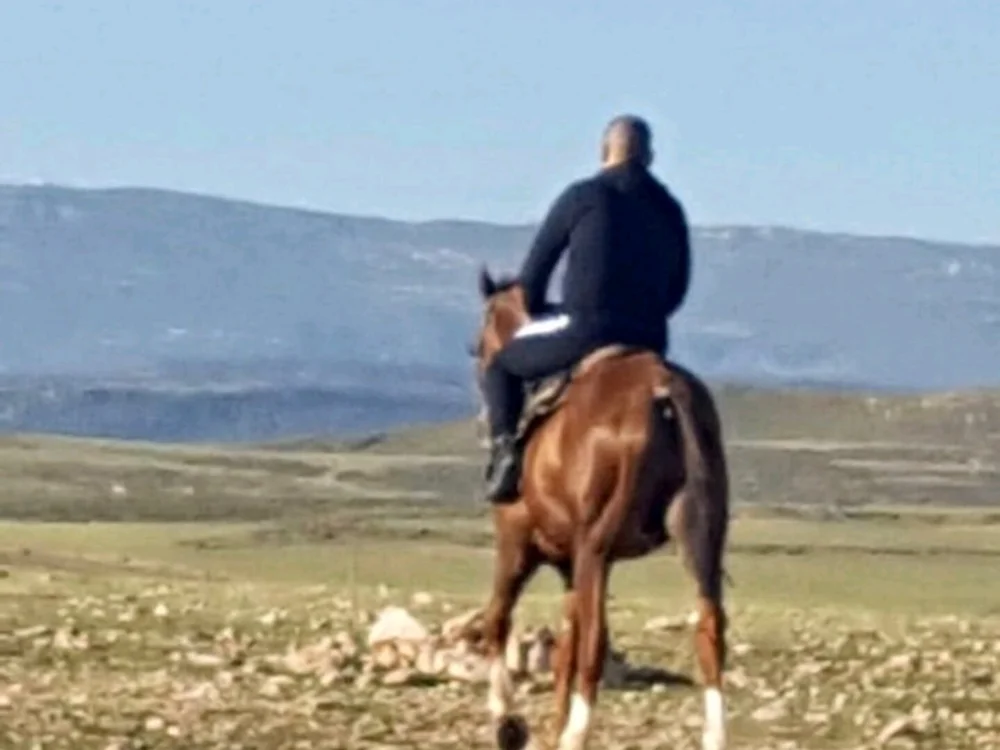 ALLPOSSIBLE69's Offline XXX Chat