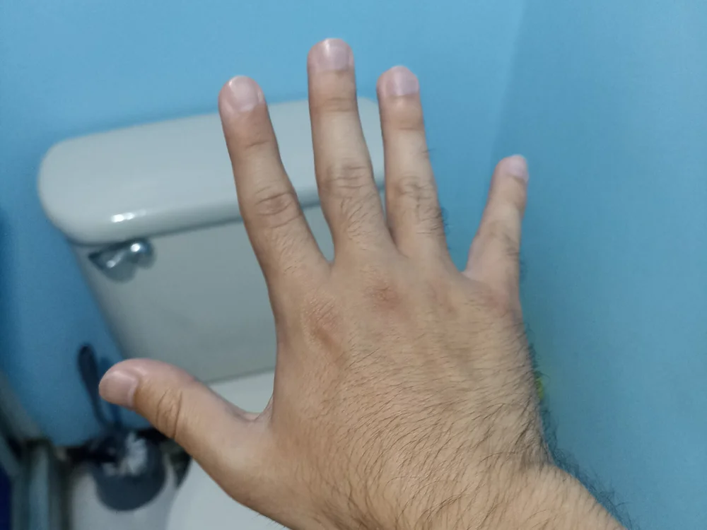 AndAlbertoMey offline XXX-chat