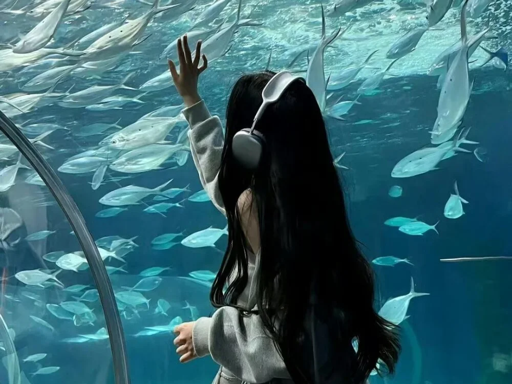 Ciqi66 离线XXX聊天