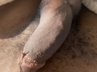 Josey720 webcam
