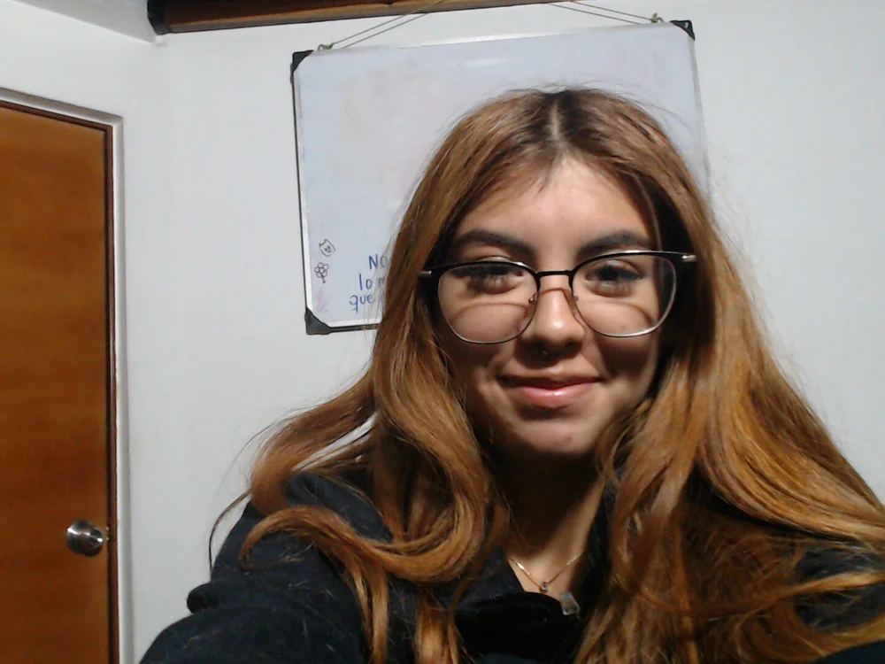 Isabellanderson's Offline Chat Room