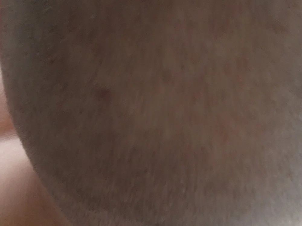 Johny24587 offline chatrum