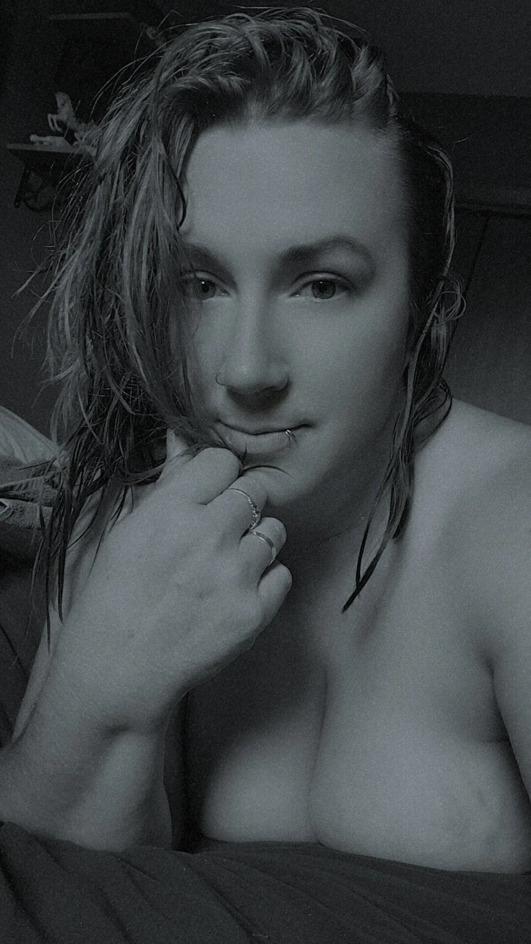 montanas_rose