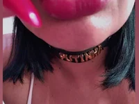 Модель Fanehot44