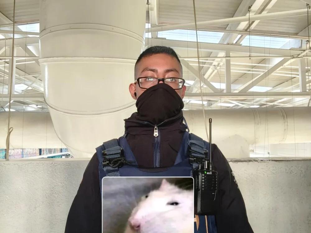 Offline XXX chat Gremory_Dragon