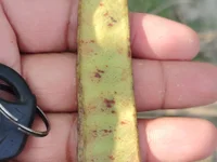 ritubhabi440