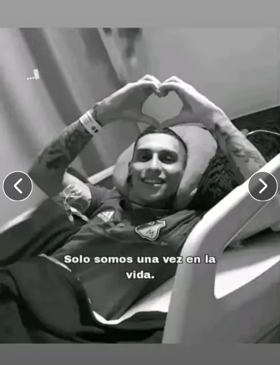 vergonmaico Offline XXX-chat