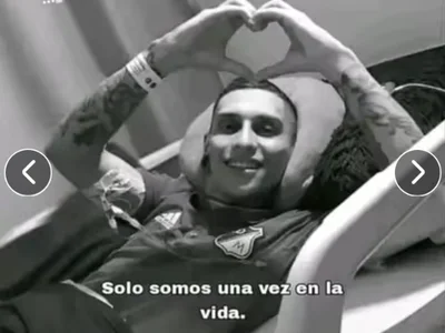 Vergonmaico - Boy 