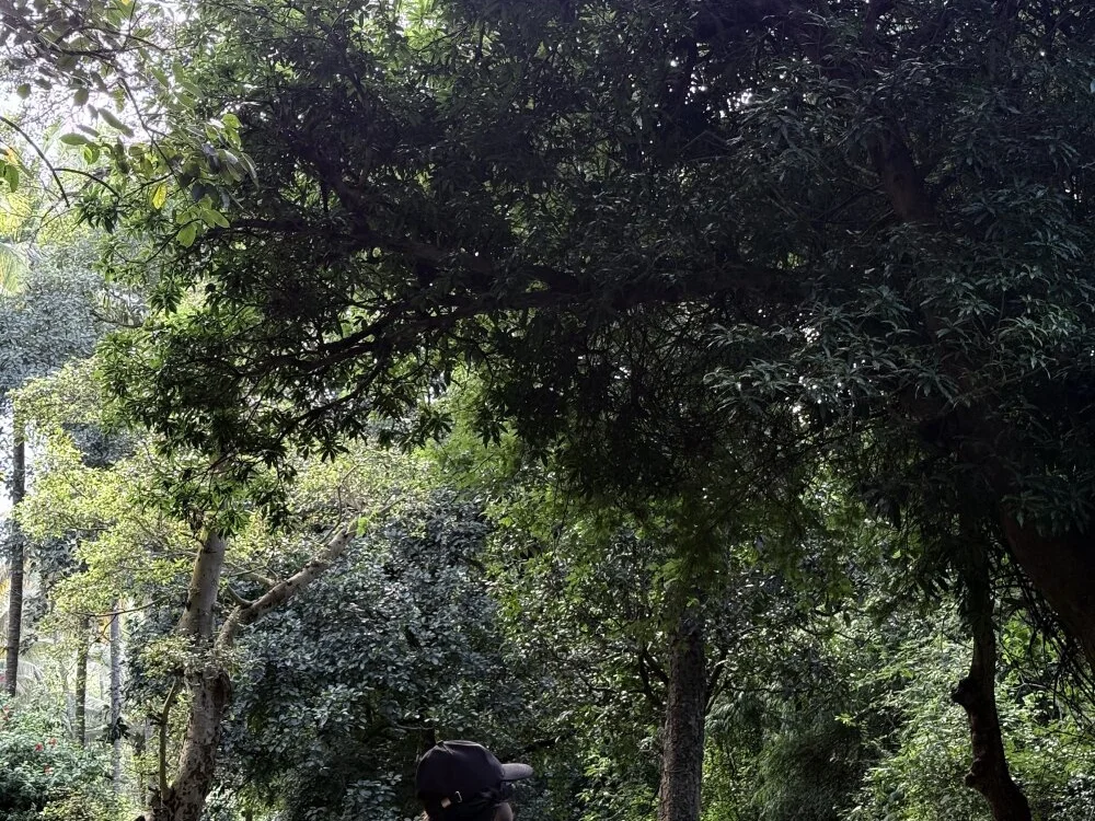 Sachin143000 오프라인 XXX 채팅