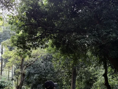 Sachin143000 profile