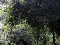 Sachin143000's webcam live show