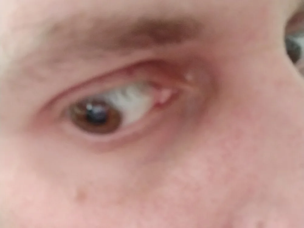 Czat XXX offline – daniellikan