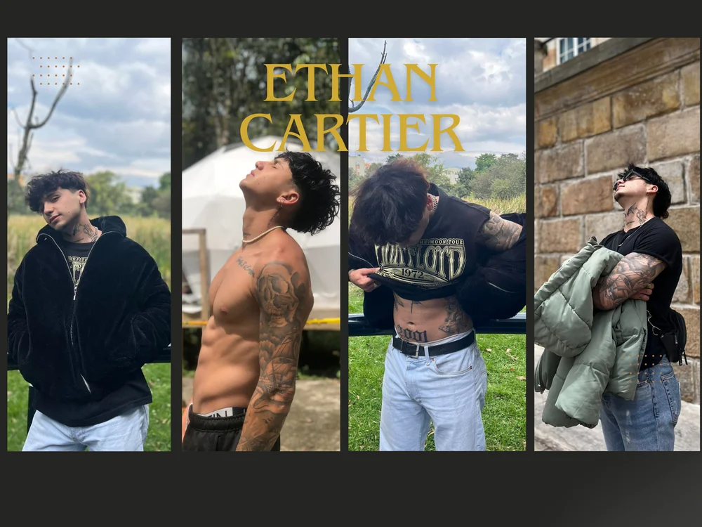 ห้องแชทออฟไลน์ของ EthanCartier