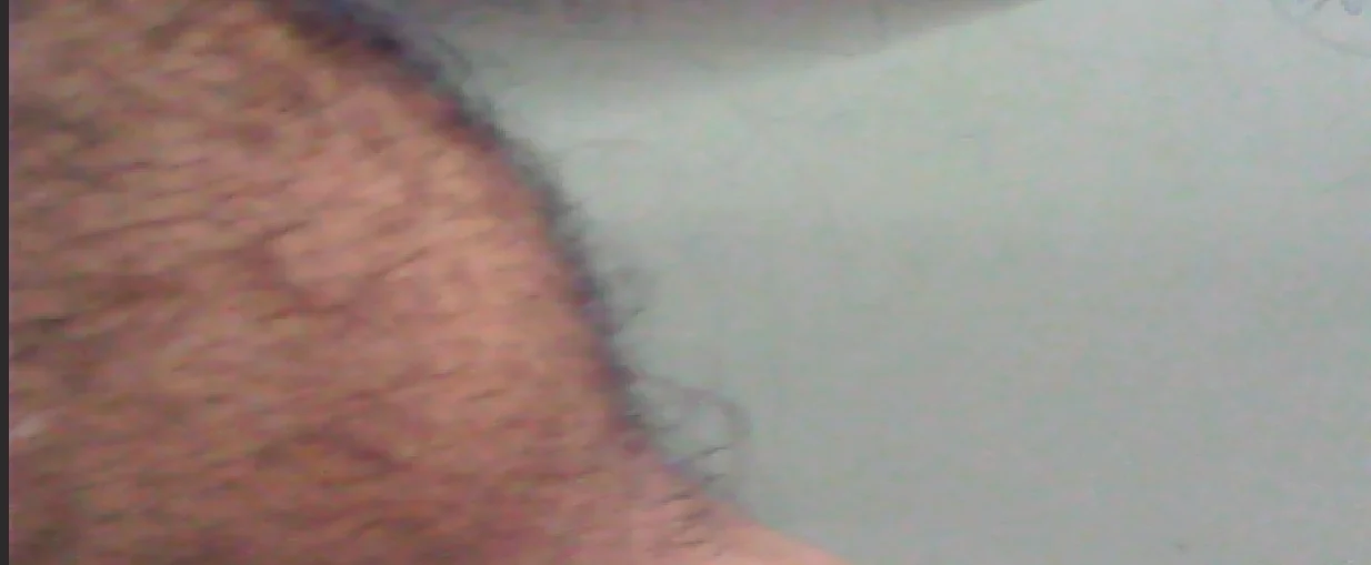 paulp985
