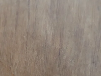 Lauc22