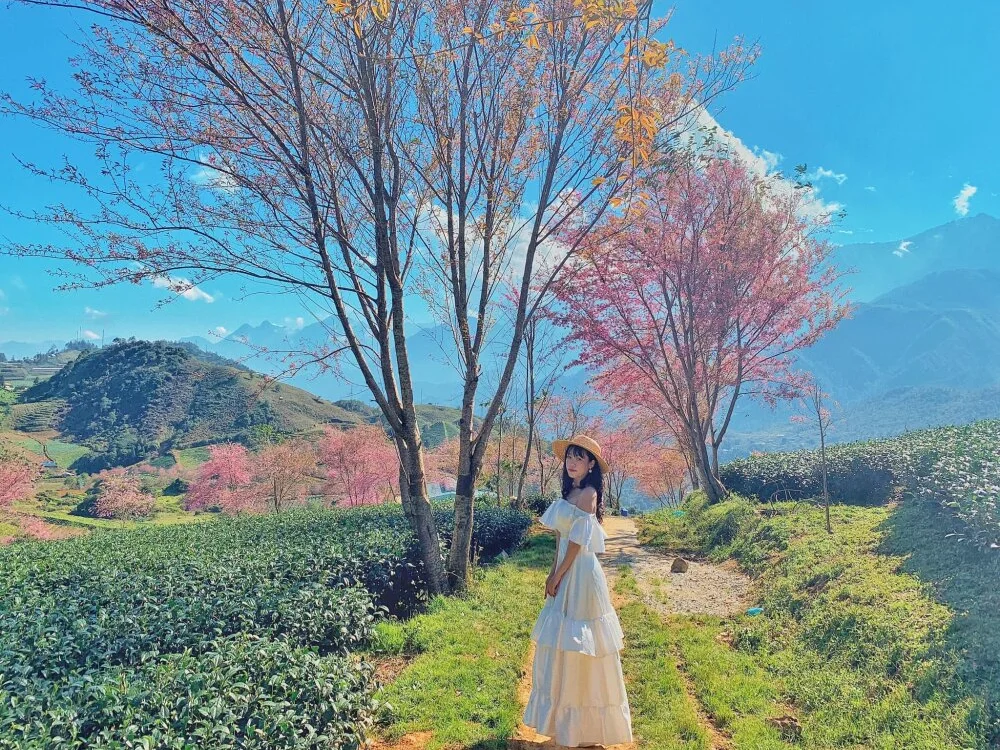 แชท XXX ออฟไลน์ของ Asiagirll