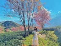 Czat XXX na żywo – Asiagirll