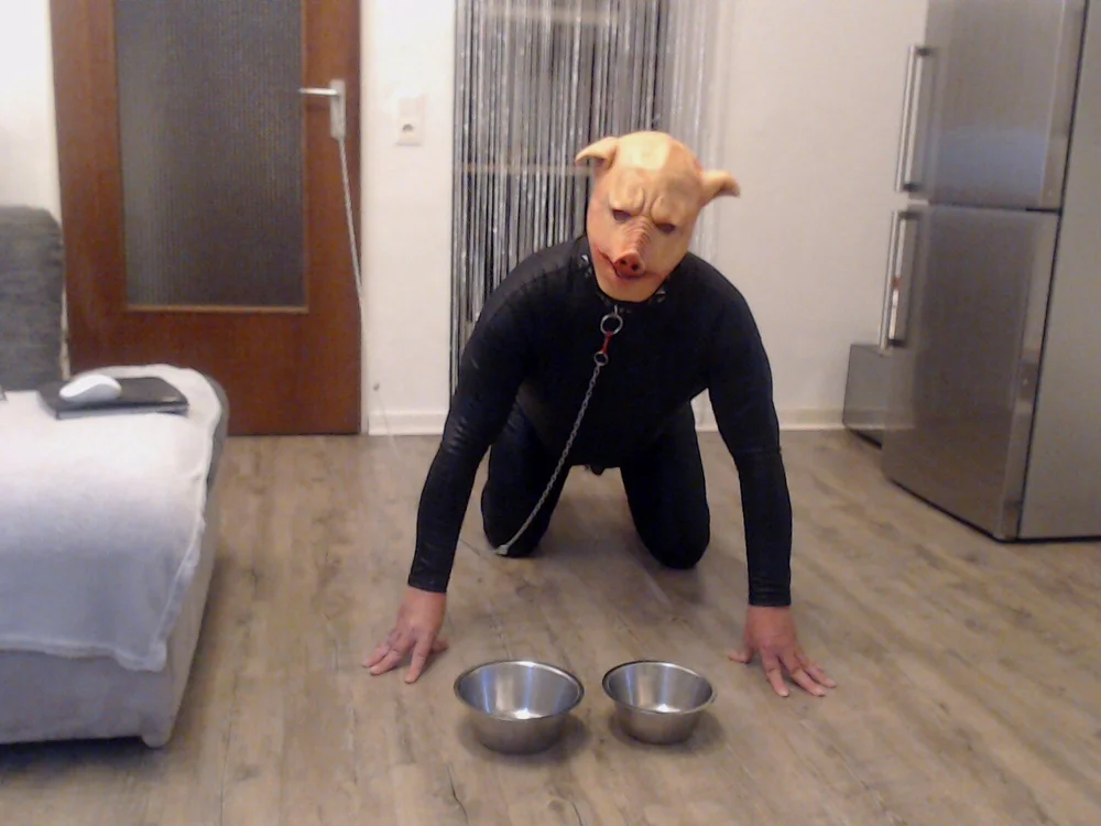 Little_Sow's Offline XXX Chat