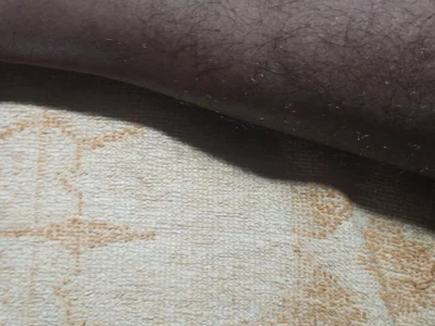 Bigbbcblack00 Male Straight Cam Strip