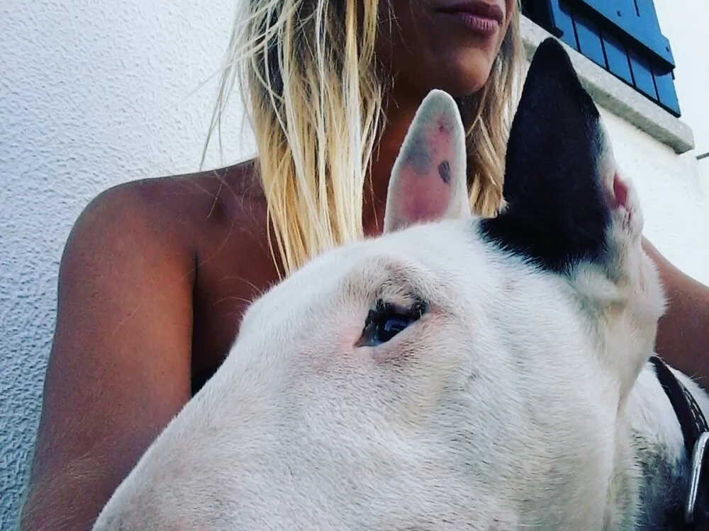 Lmorais25 Offline XXX-Chat