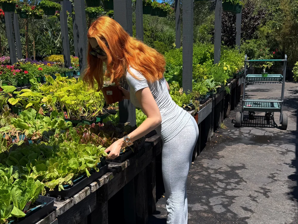 whoislunaxx offline XXX-chat