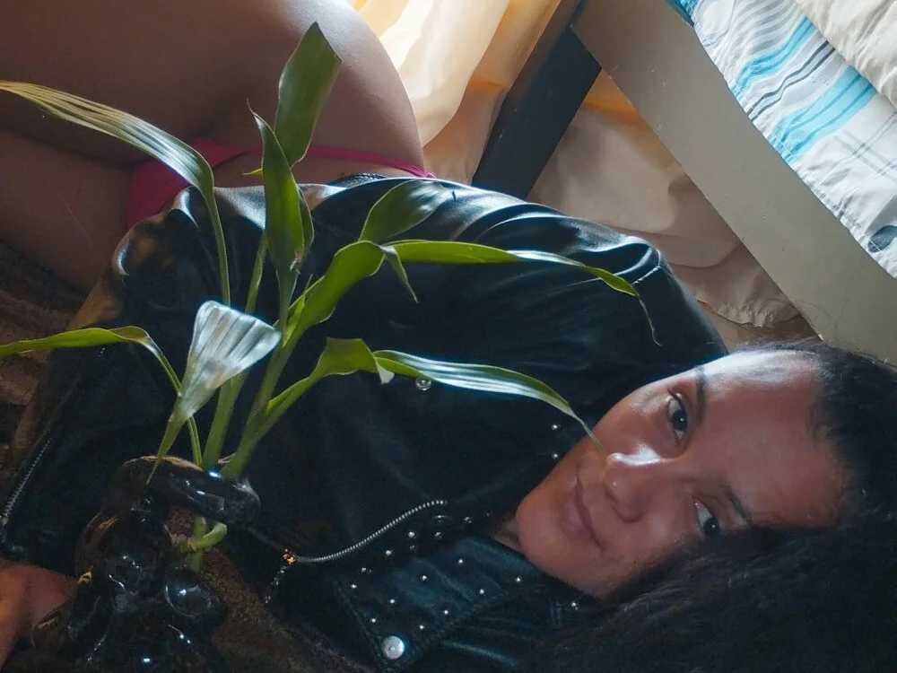 1000ANGELES 離線 XXX 聊天