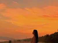 Модель tt50256