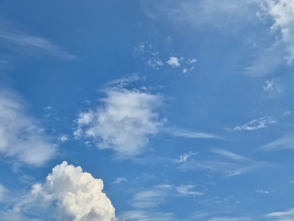 wawagi live cam model on stripchat