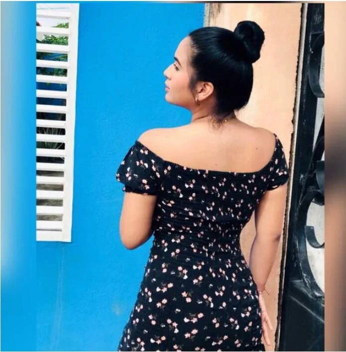 ห้องแชทออฟไลน์ของ dianehudson